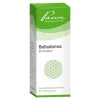 Pascoe Belladonna Similiaplex Mischung, 50 ml- Pascoe