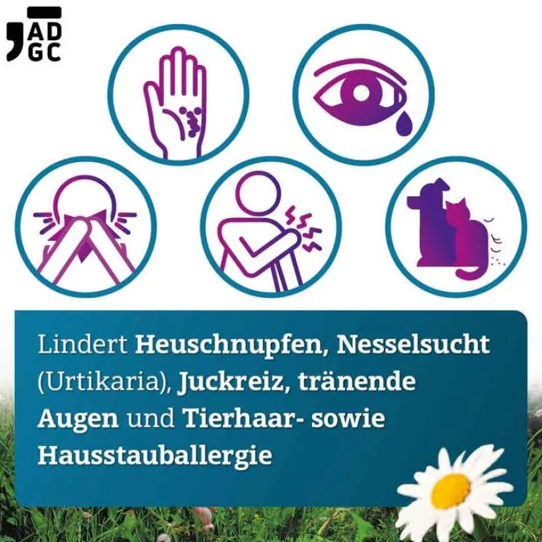 ADGC Bilastin 20 mg Tabletten bei Allergie, 6 St- Bilastin|Allergie Tabletten