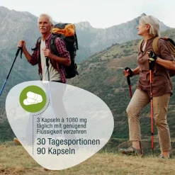 GSE Omega 3 Kapseln-Bio Omega 3 Fischöl Kapseln, 90 St