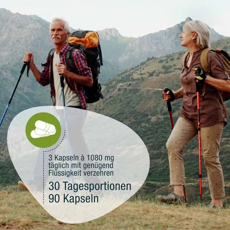 GSE Omega 3 Kapseln-Bio Omega 3 Fischöl Kapseln, 90 St