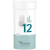 Pflüger Biochemie 12 Calcium sulfuricum D 6 Pulver, 100 g- Salze 1-12|D 6