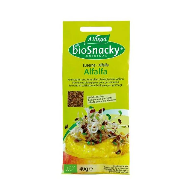 Biosnacky Sprossensamen Alfalfa, 40 g- Gewürze & Kräuter