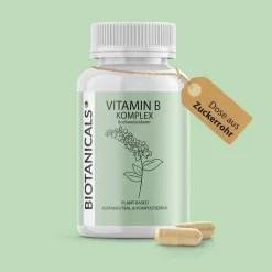 Biotanicals Vitamin B Kapseln, 90 St- Vitamin B Komplex