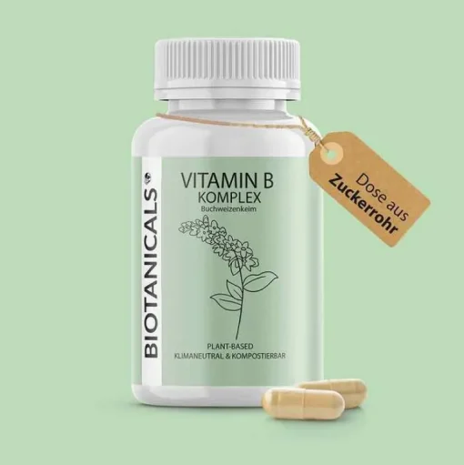 Biotanicals Vitamin B Kapseln, 90 St- Vitamin B Komplex