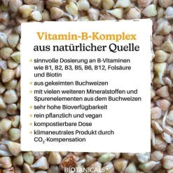 Biotanicals Vitamin B Kapseln, 90 St- Vitamin B Komplex