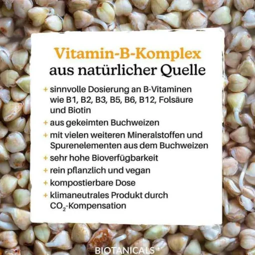 Biotanicals Vitamin B Kapseln, 90 St- Vitamin B Komplex