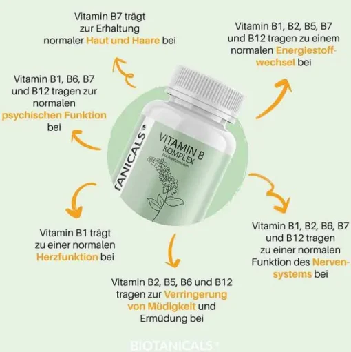 Biotanicals Vitamin B Kapseln, 90 St- Vitamin B Komplex