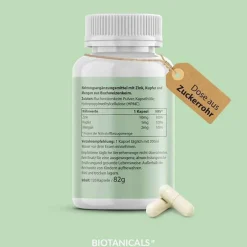 Biotanicals Zink-Zink Kapseln, 120 St