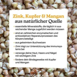 Biotanicals Zink-Zink Kapseln, 120 St