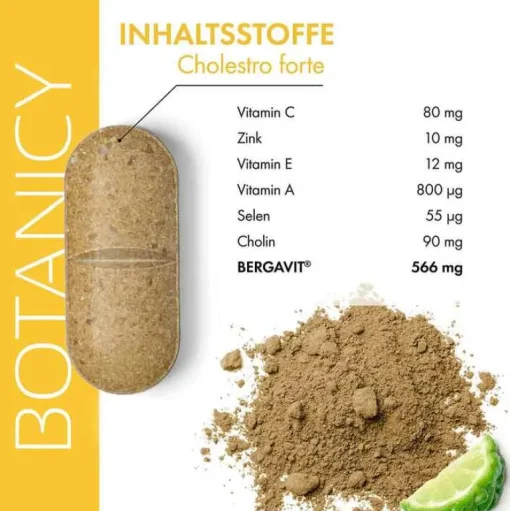 Feelgood Cholesterin-Botanicy Cholestro forte mit Bergavit Tabletten, 60 St