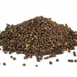 Dr. Jacobs Brokkolisamen Sulfo forte Bio , 250 g- Spezialitäten