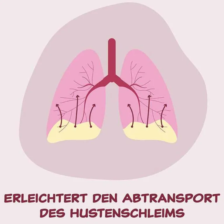 Hermes Bromhexin Arzneimittel® 8 mg/ml Tropfen, 50 ml- Hustenlöser