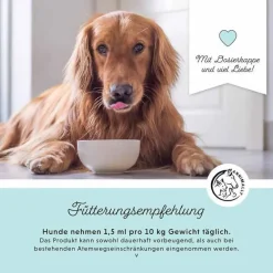 Bronchial Plus Atemwegsmischung Saft für Hunde, 100 ml^Annimally Outlet