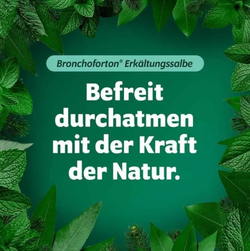Bronchoforton Erkältungsbalsam-® Salbe, 100 g