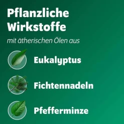 Bronchoforton Erkältungsbalsam-® Salbe, 100 g