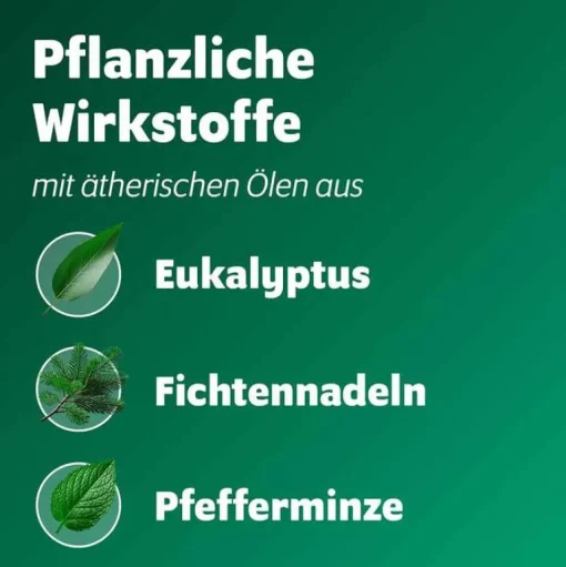 Bronchoforton Erkältungsbalsam-® Salbe, 100 g