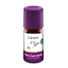 Cajeput Öl Bio, 5 ml^Taoasis Hot