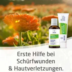 Weleda Verletzungen|Haut-Calendula Wundsalbe bei Schürfwunden und Hautverletzungen, 70 g