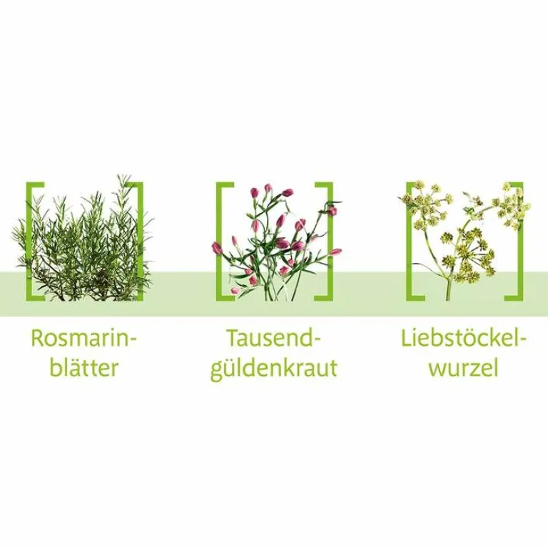 Dragees, 60 St^Canephron N Discount