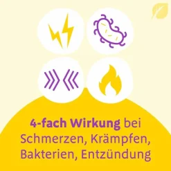 Canephron Uno überzogene Tabletten, 30 St- Blasenentzündung Medikamente