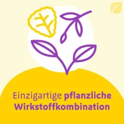 Canephron Uno überzogene Tabletten, 30 St- Blasenentzündung Medikamente