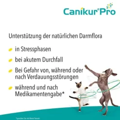 Canikur Pro vet. Paste, 15 ml- Magen & Darm|Magen & Darm