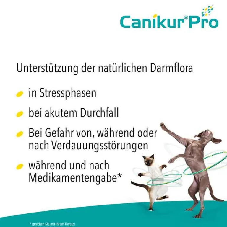 Canikur Pro vet. Paste, 15 ml- Magen & Darm|Magen & Darm