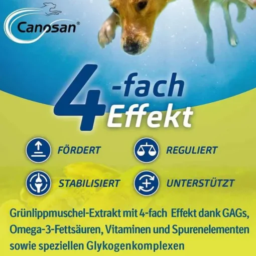Canosan Bewegungsapparat-Konzentrat, 1300 g