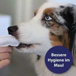 Zahnpflege Finger-Pads für Hunde, 50 St^Canosept New