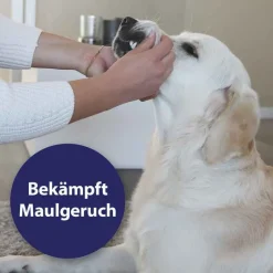 Zahnpflegespray für Hunde, 100 ml^Canosept Hot
