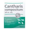 Heel Cantharis Compositum Ampullen vet. (für Tiere), 5 St- Biologische Heilmittel Heel Gmbh