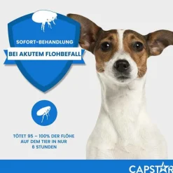 Capstar Flöhe, Zecken & Co.|Flöhe, Zecken & Co.-™ 11,4 mg Tabletten für Katzen und kleine Hunde, 6 St