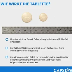 Capstar Flöhe, Zecken & Co.|Flöhe, Zecken & Co.-™ 11,4 mg Tabletten für Katzen und kleine Hunde, 6 St