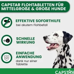 ™ 57 mg Tabletten für große Hunde, 6 St^Capstar Online