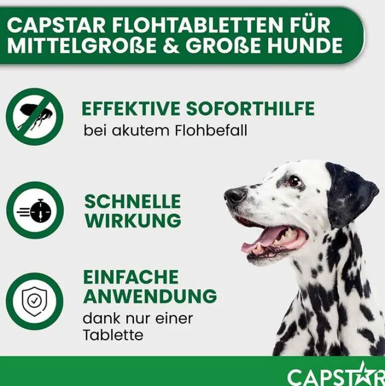 ™ 57 mg Tabletten für große Hunde, 6 St^Capstar Online