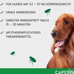 ™ 57 mg Tabletten für große Hunde, 6 St^Capstar Online