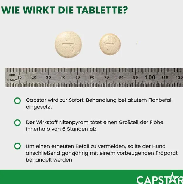 ™ 57 mg Tabletten für große Hunde, 6 St^Capstar Online