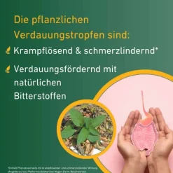 Carvomin ® Verdauungstropfen, 2X50 ml- Verdauung