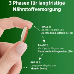 Centrum Glucosamin-Chondroitin-Vital + Knochen Knorpel & Muskeln Tabletten, 30 St