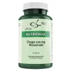 Green line Nutritheke Chaga 500 mg Pilzextrakt Kapseln, 60 St- Vitalpilze
