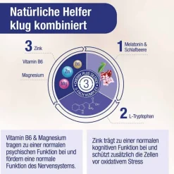 Cherryplus Hirnleistung & Nerven-Das Original Silence Kapseln, 60 St