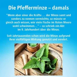 China Öl Hals- und Hustenbonbons ohne Zucker, 40 g- Husten & Halsbonbons