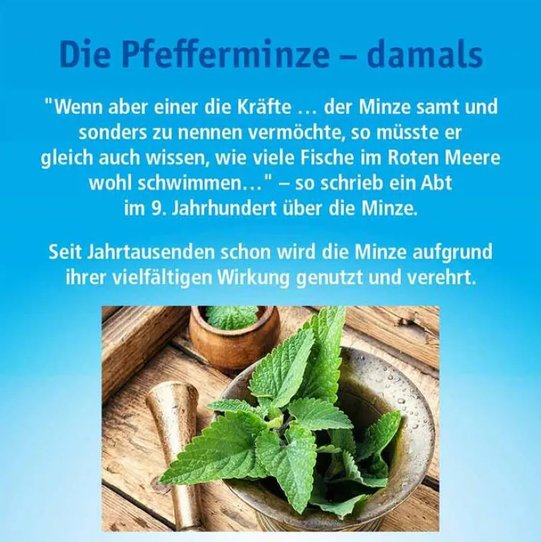 China Öl Kopfschmerztabletten-China Oel kutan Flüssigkeit zur Anwendung auf der Haut, 10 ml