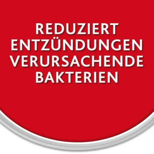 Chlorhexamed Zahnfleischentzündung Medikamente|Prophylaxe-Mundgel 10mg/g Gel, mit Chlorhexidin, 50 g
