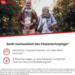 Dr. Wolz Cholesterin-Cholesterinreduktion Pulver, 224 g