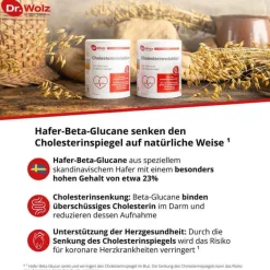 Dr. Wolz Cholesterin-Cholesterinreduktion Pulver, 224 g