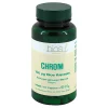 Chrom 100 µg Bios Kapseln, 100 St^