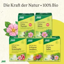 Salus Kräutertee-Cistus Spitzwegerich Tee Bio Filterbeutel, 15 St