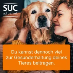 Heel Biologische Heilmittel Heel Gmbh-Coenzyme compositum® ad us. vet. Ampullen (2,2 ml), 10 St