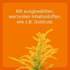 Heel Biologische Heilmittel Heel Gmbh-Coenzyme compositum® ad us. vet. Ampullen (2,2 ml), 10 St